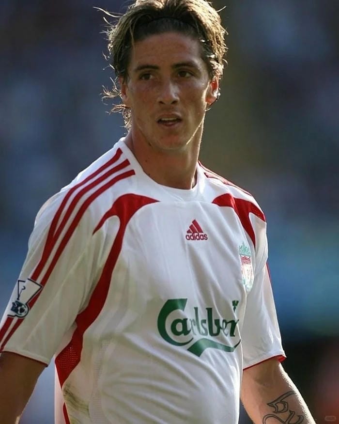 anh-fernando-torres (13)