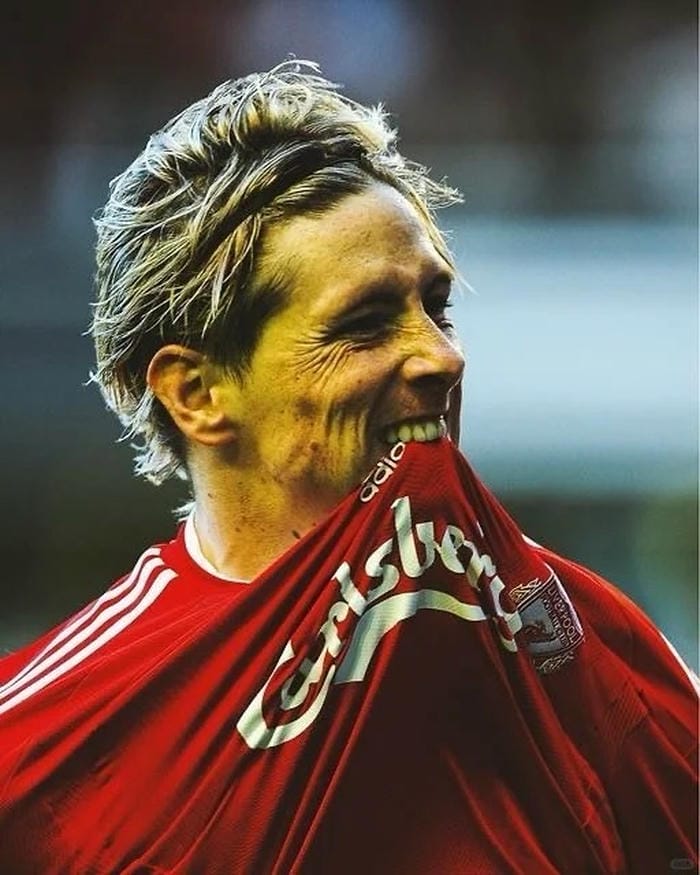 anh-fernando-torres (15)