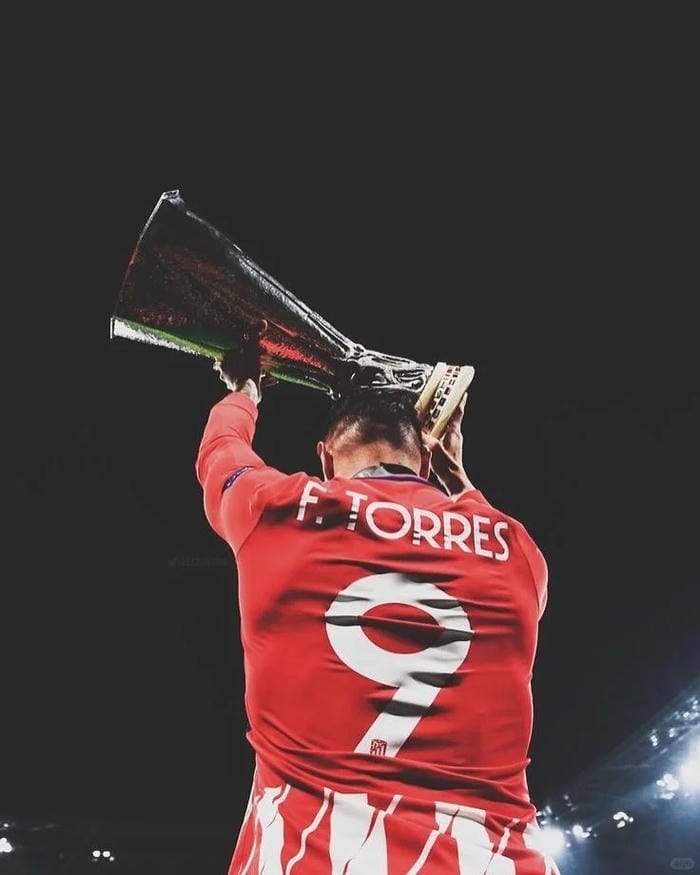 anh-fernando-torres (19)