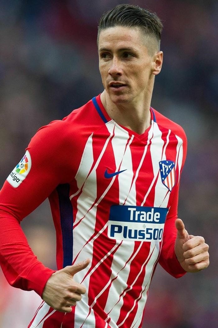 anh-fernando-torres (2)