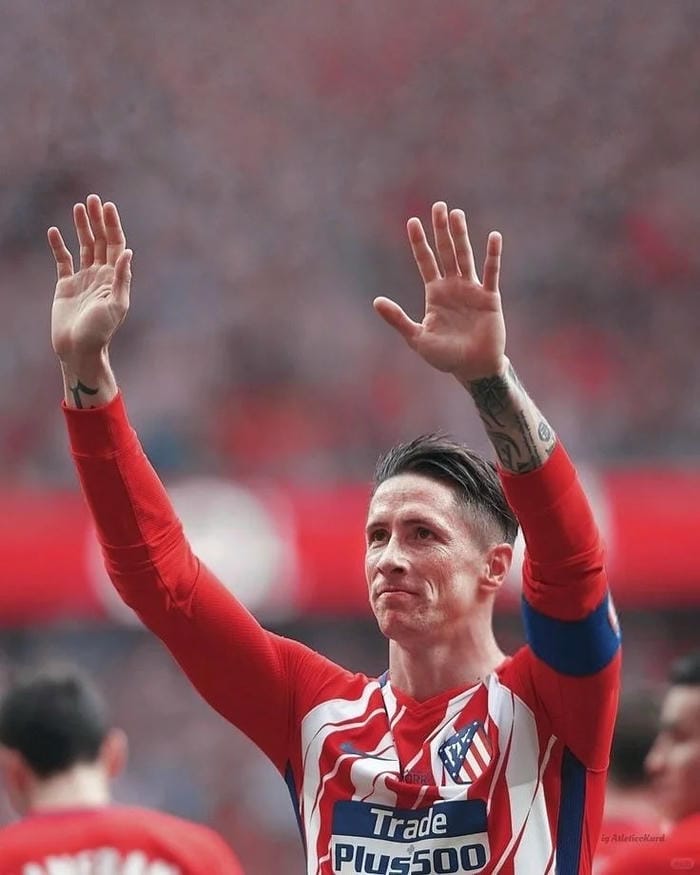 anh-fernando-torres (21)