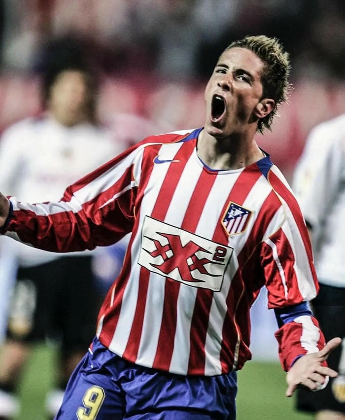 anh-fernando-torres (22)