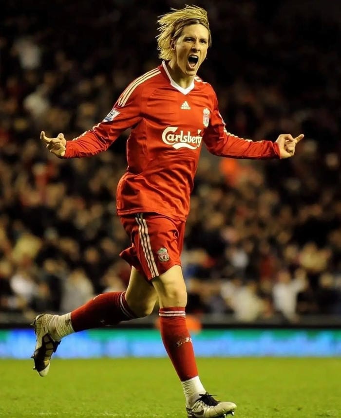 anh-fernando-torres (24)