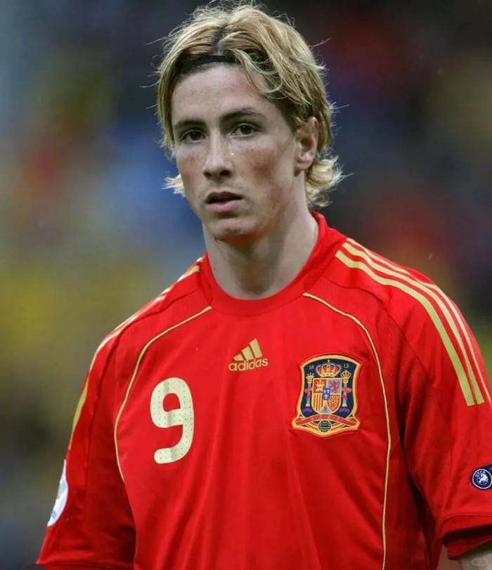 anh-fernando-torres (25)