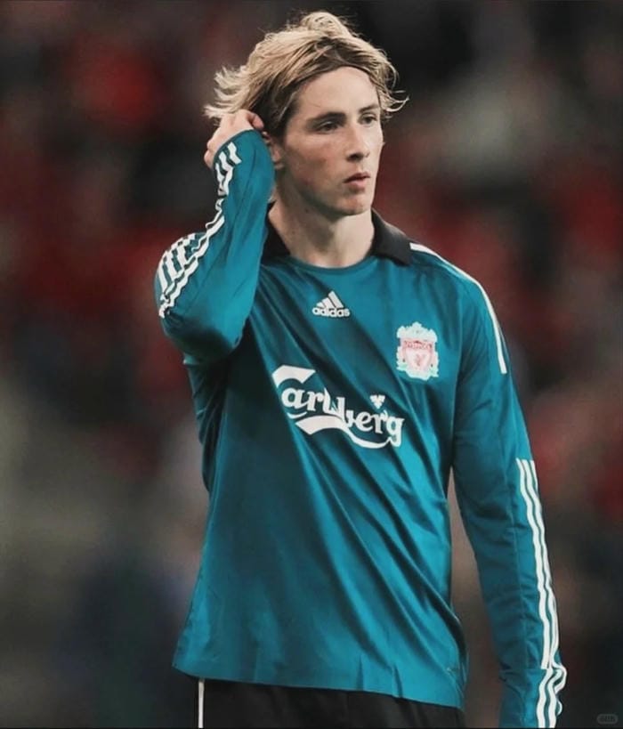 anh-fernando-torres (26)