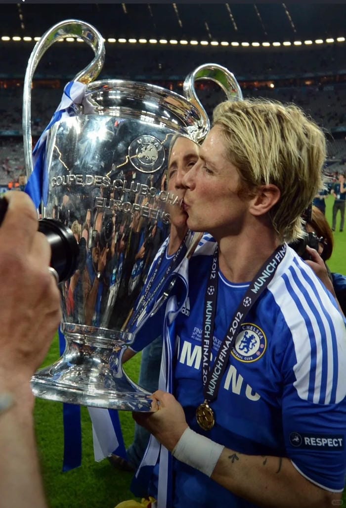 anh-fernando-torres (30)