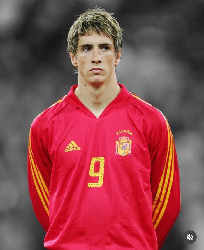 anh-fernando-torres (31)
