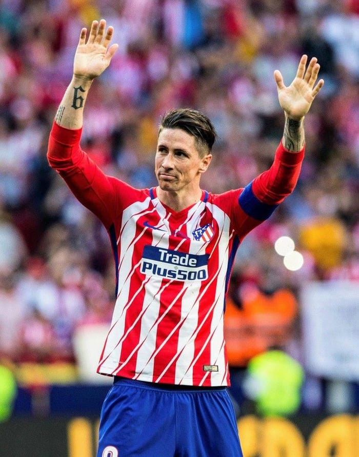 anh-fernando-torres (33)