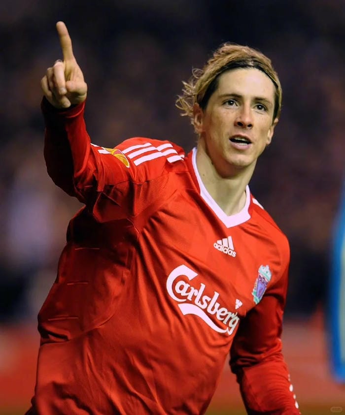 anh-fernando-torres (34)