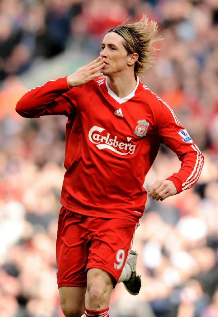 anh-fernando-torres (36)