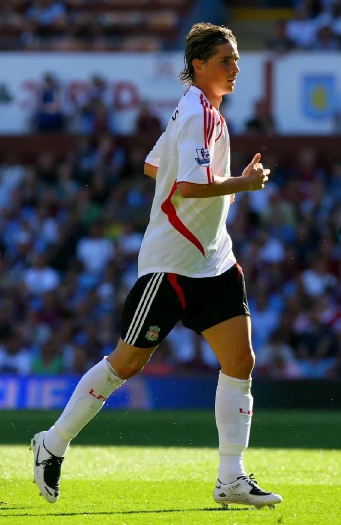 anh-fernando-torres (37)