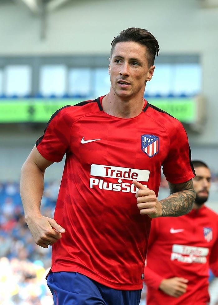 anh-fernando-torres (4)