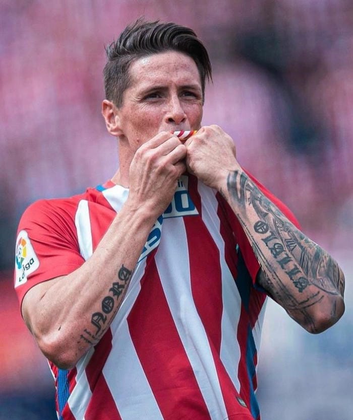 anh-fernando-torres (7)