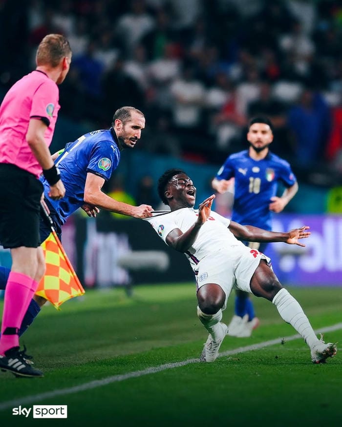 anh-giorgio-chiellini (17)