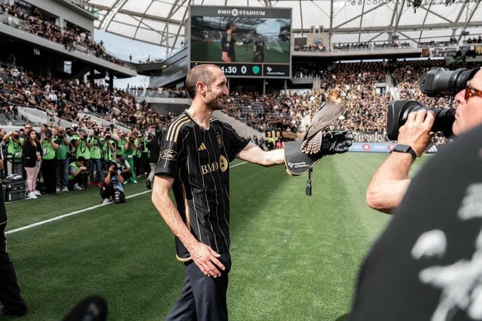 anh-giorgio-chiellini (23)