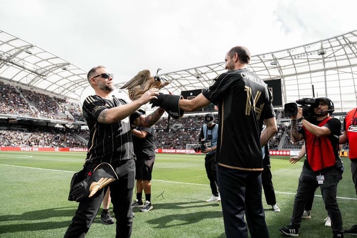 anh-giorgio-chiellini (24)