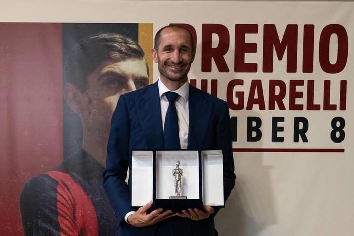 anh-giorgio-chiellini (35)
