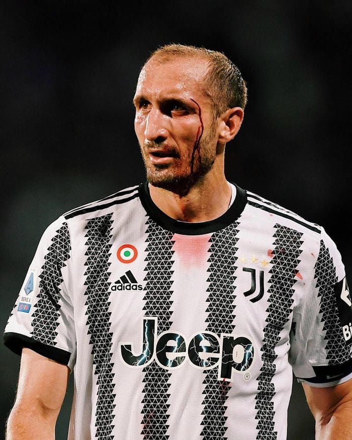 anh-giorgio-chiellini (5)