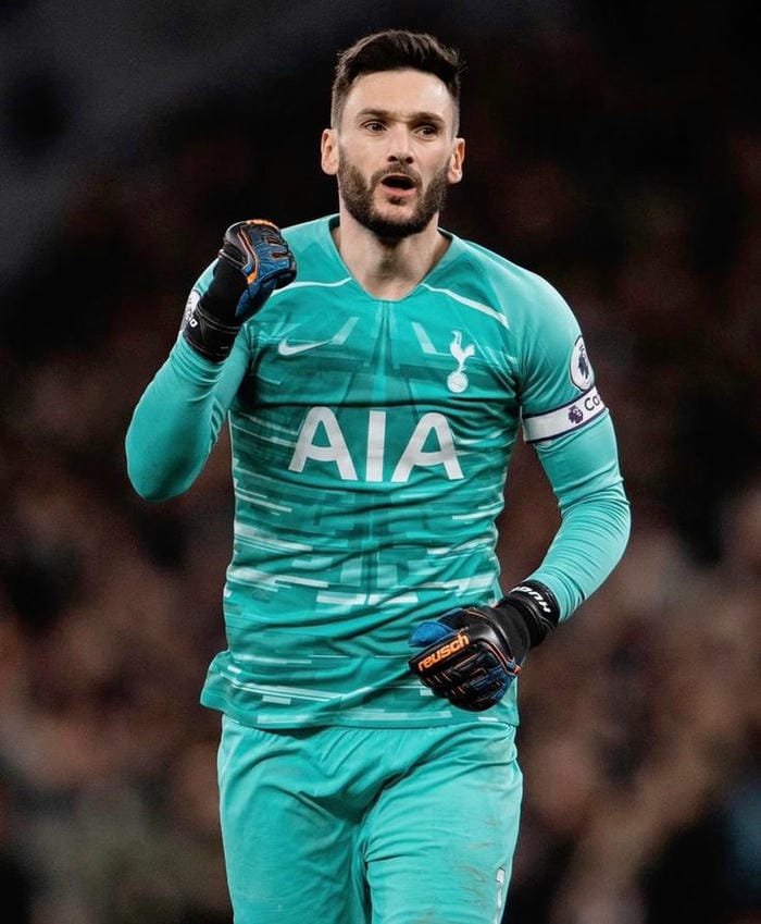 anh-hugo-lloris (19)