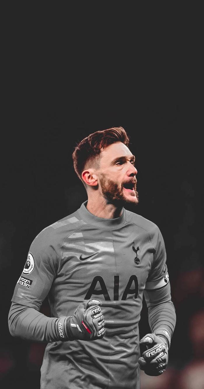 anh-hugo-lloris (20)