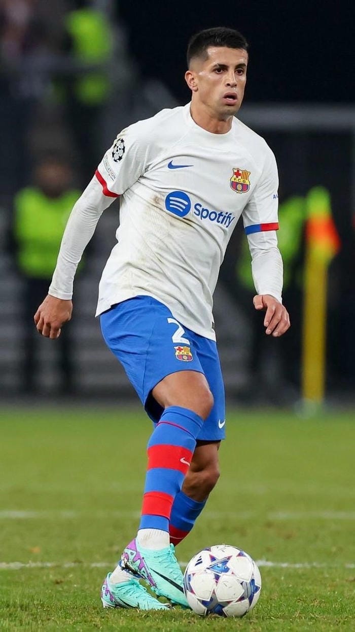 anh-joao-cancelo (16)