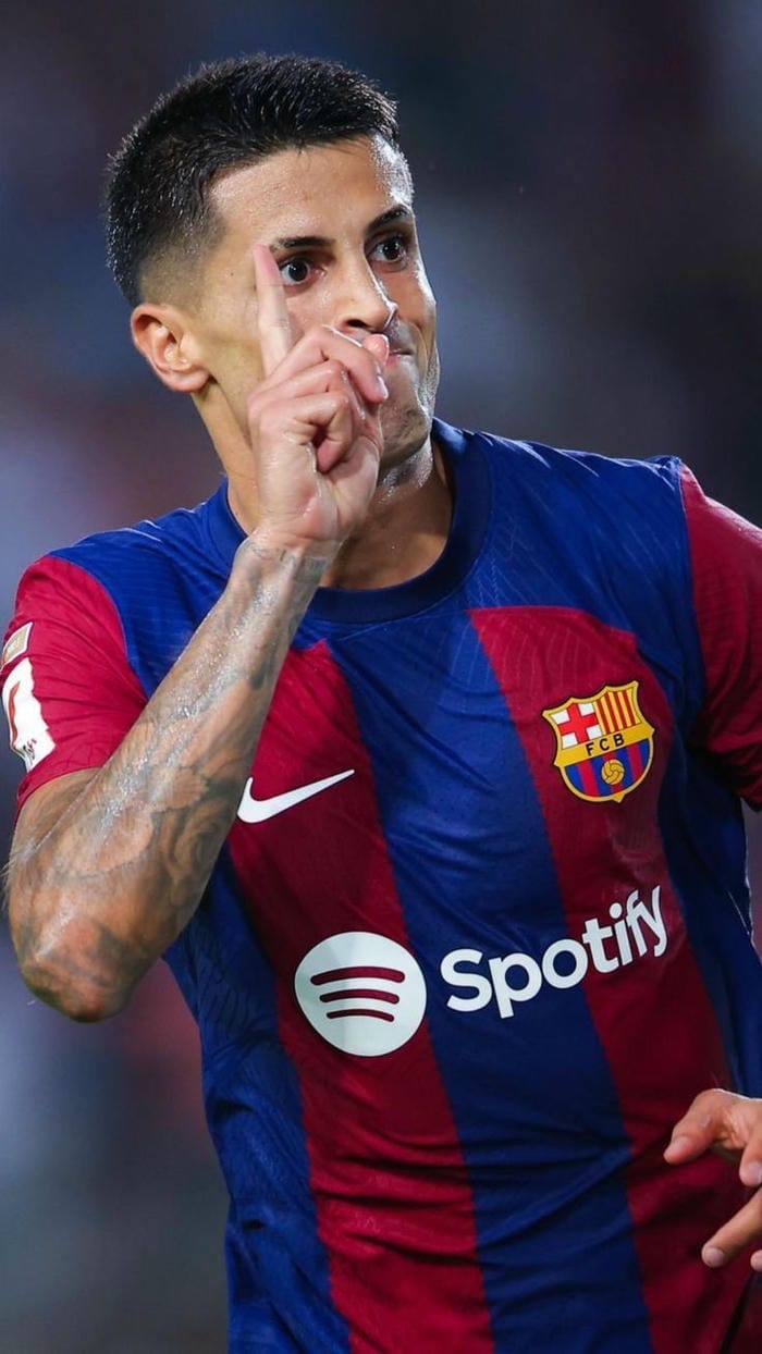 anh-joao-cancelo (21)