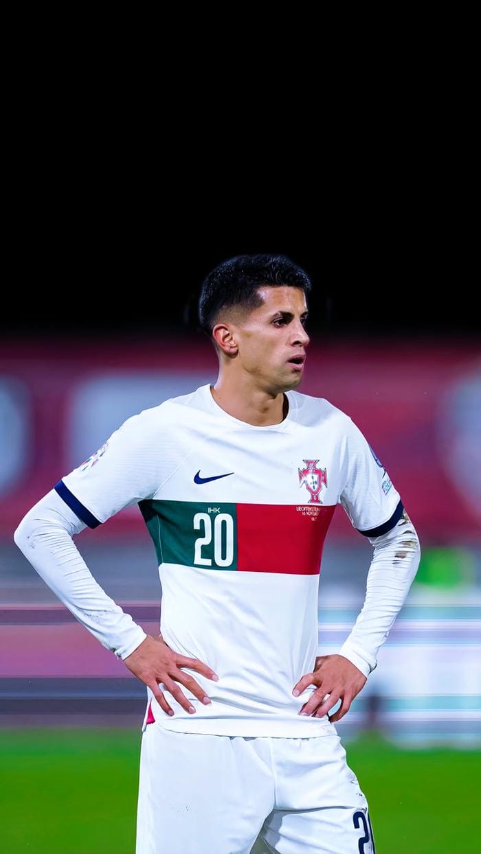 anh-joao-cancelo (23)