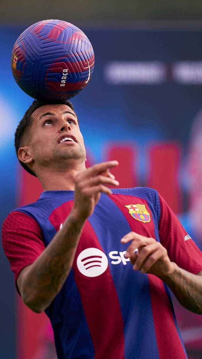 anh-joao-cancelo (27)