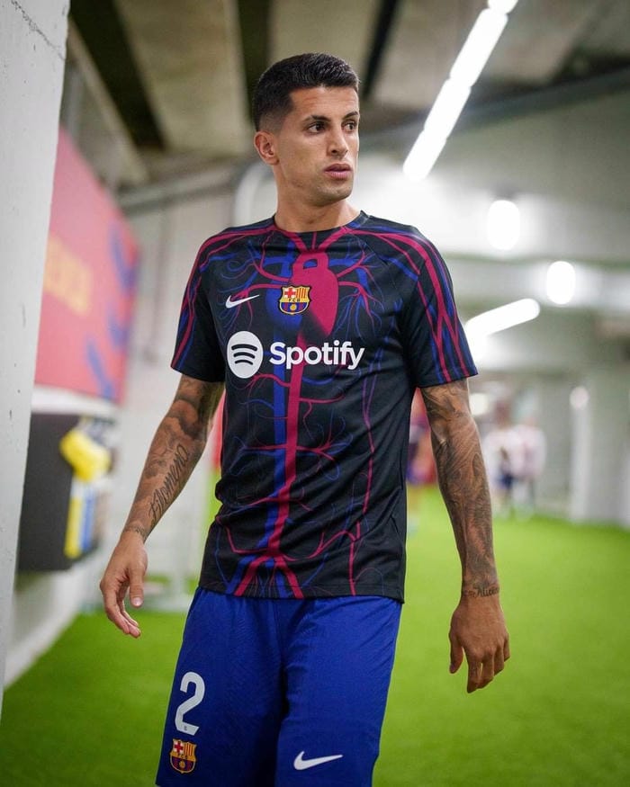 anh-joao-cancelo (40)