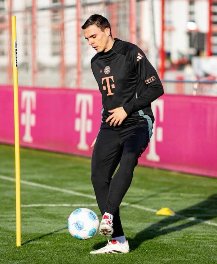 anh-joao-palhinha (10)