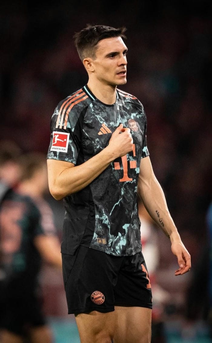 anh-joao-palhinha (12)