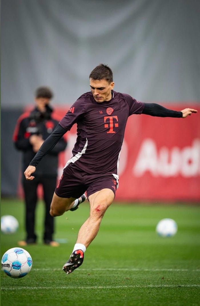 anh-joao-palhinha (6)