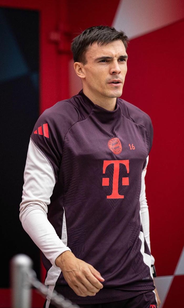 anh-joao-palhinha (7)