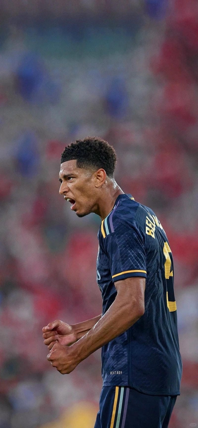 anh-jude-bellingham (13)