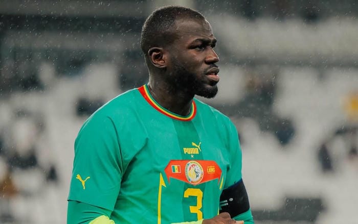 anh-kalidou-koulibaly (14)