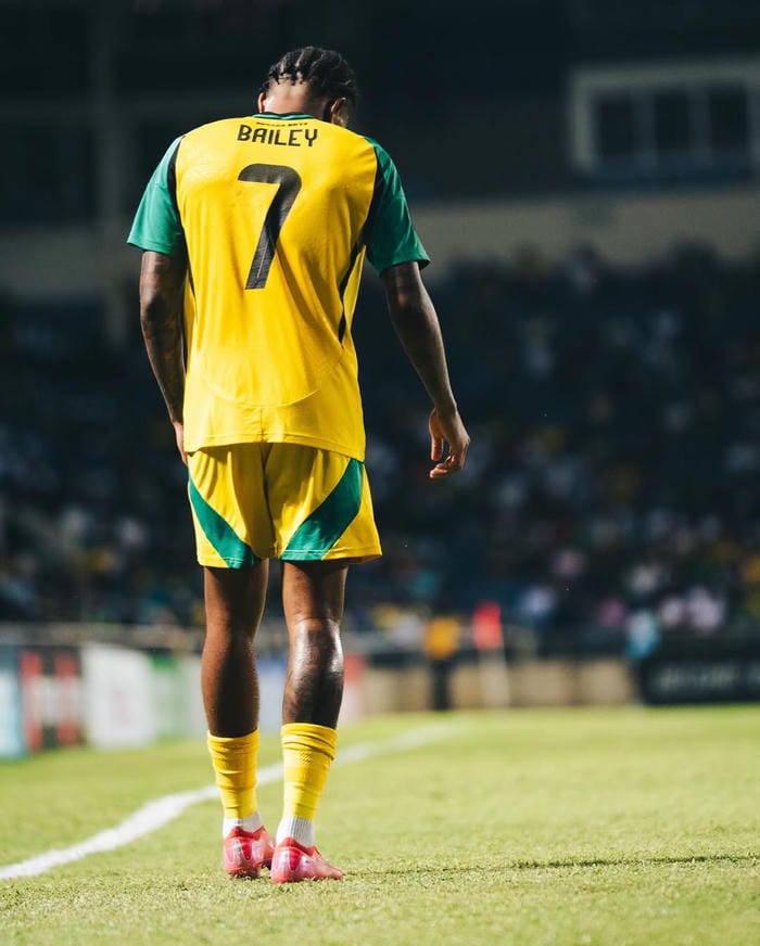 anh-leon-bailey (13)