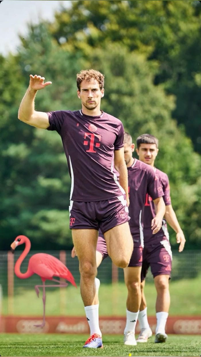 anh-leon-goretzka (9)