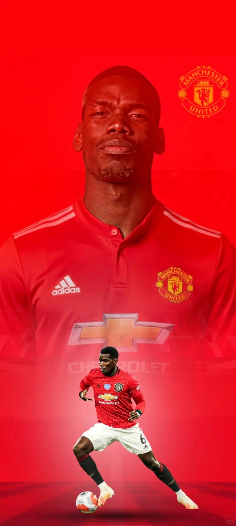 anh-paul-pogba (30)