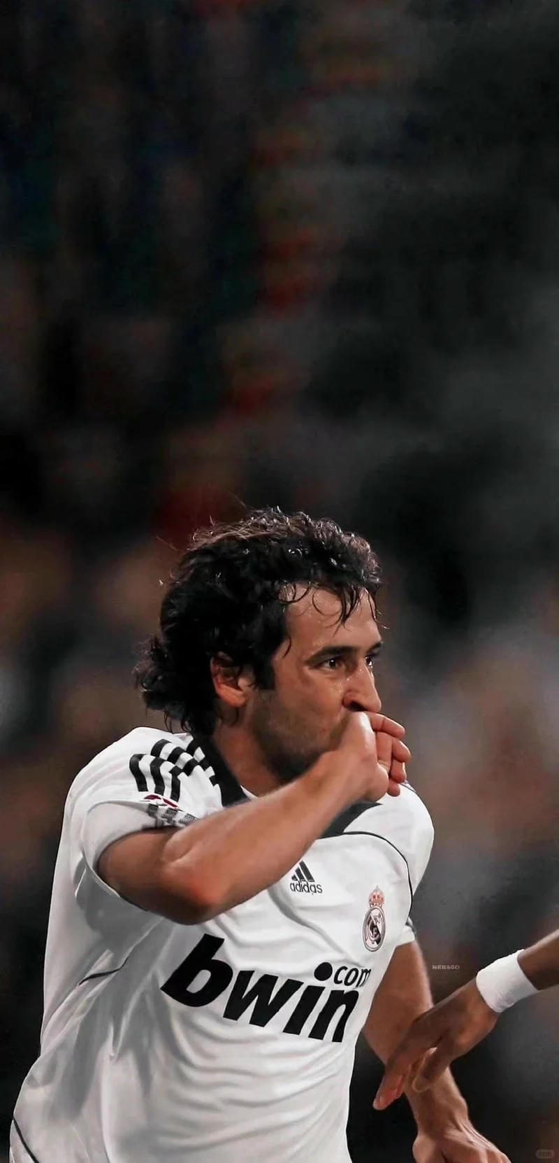 anh-raul-gonzalez (34)