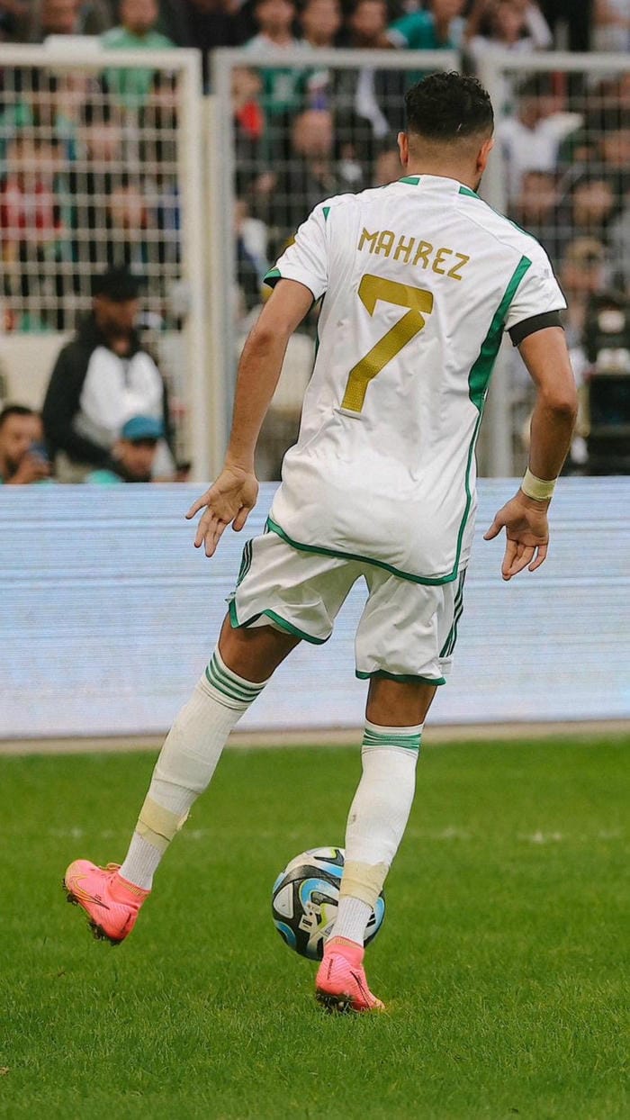 anh-riyad-mahrez (19)