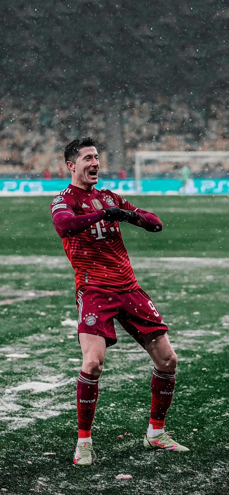 anh-robert-lewandowski (14)