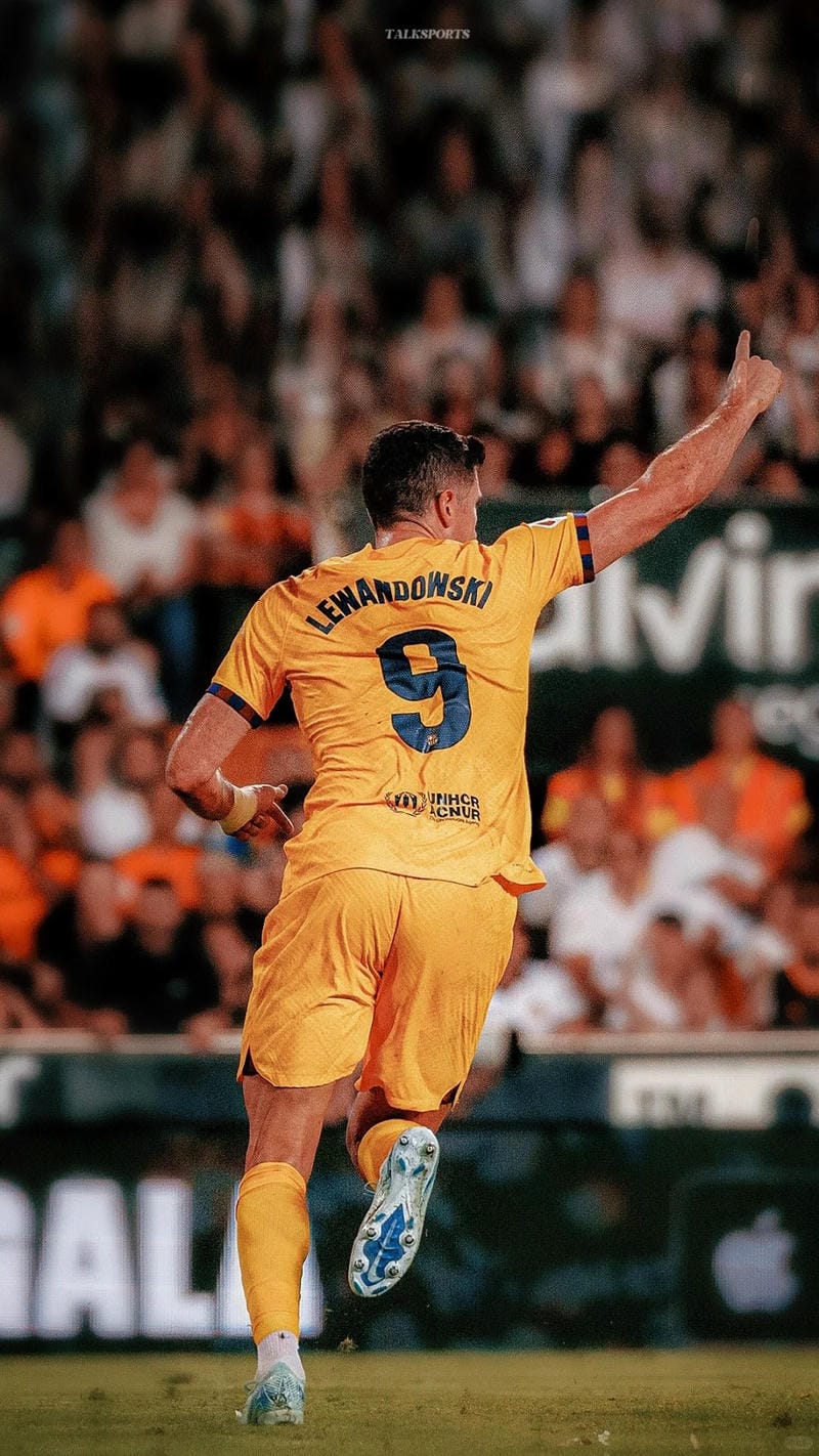 anh-robert-lewandowski (38)