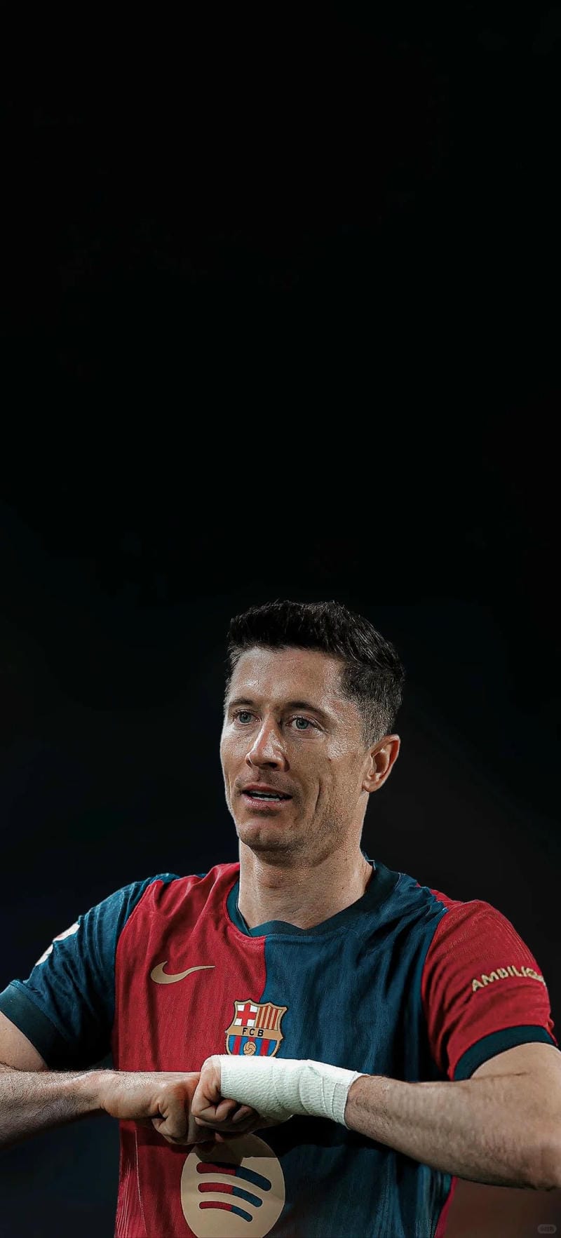 anh-robert-lewandowski (39)