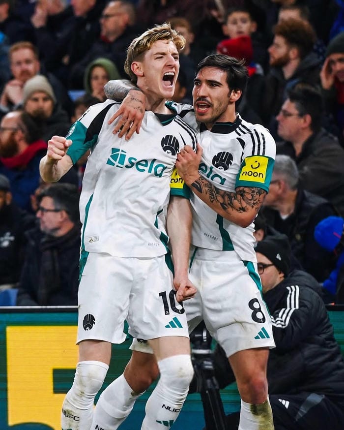 anh-sandro-tonali (27)