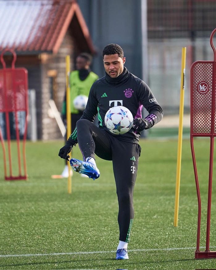 anh-serge-gnabry (2)