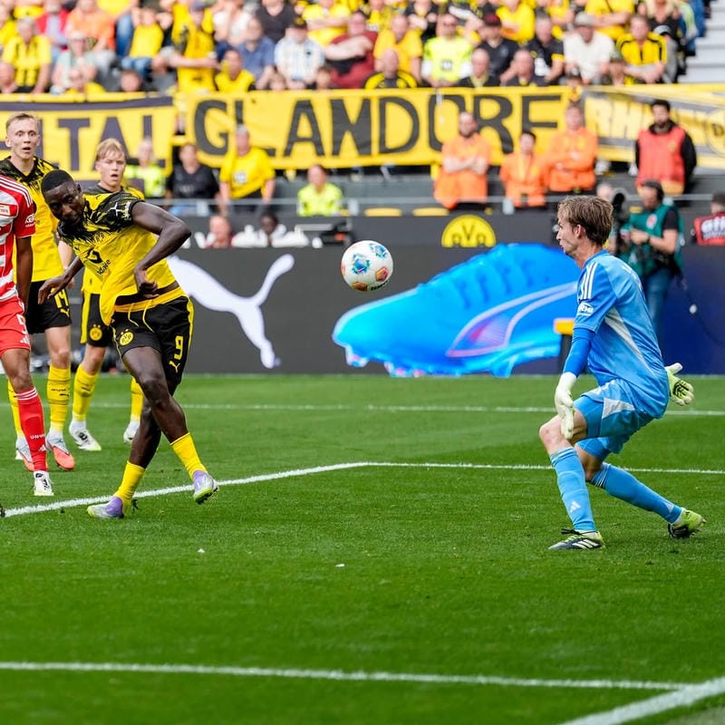 anh-serhou-guirassy (19)