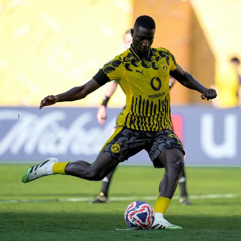 anh-serhou-guirassy (40)