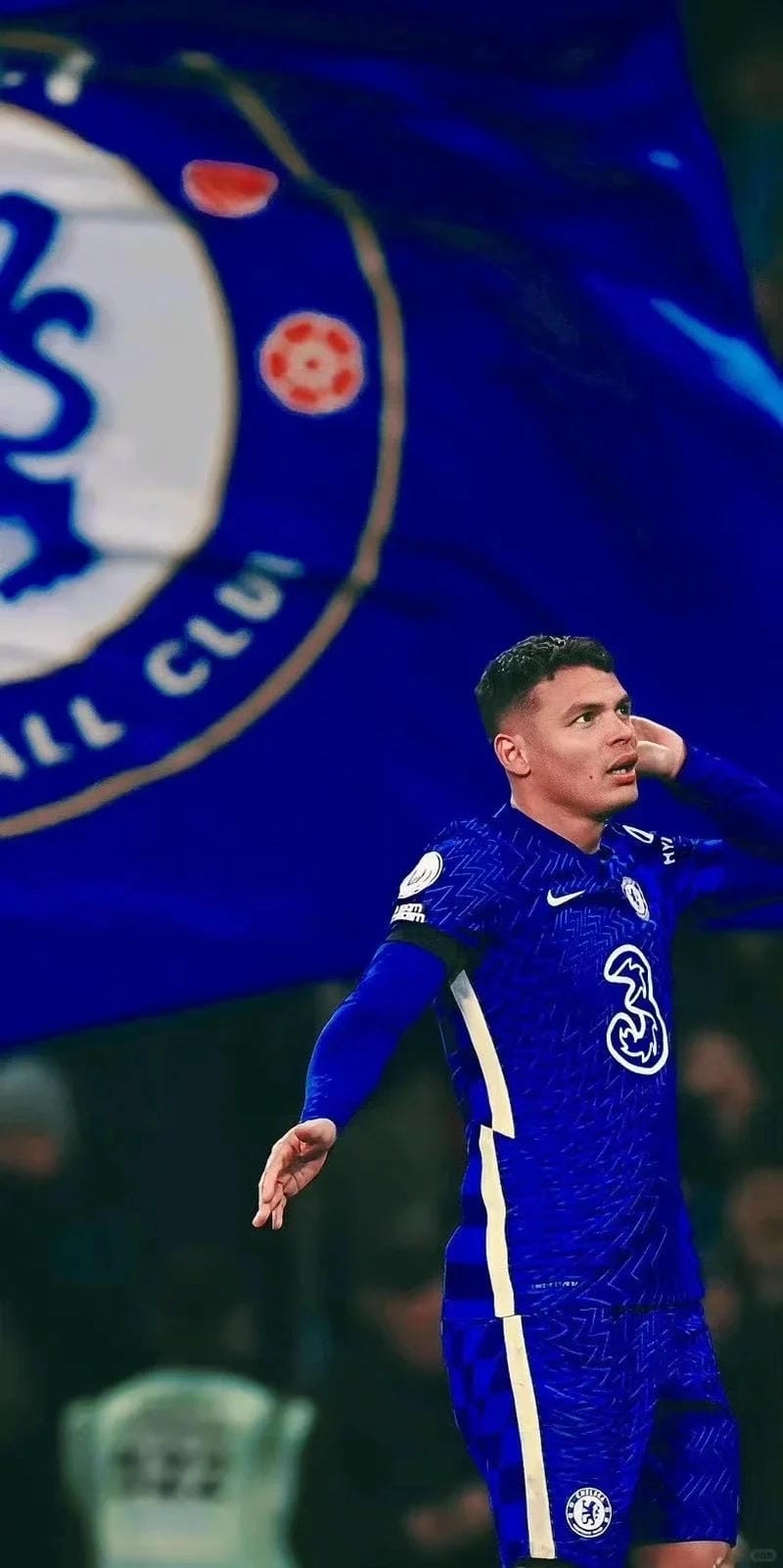 anh-thiago-silva (31)