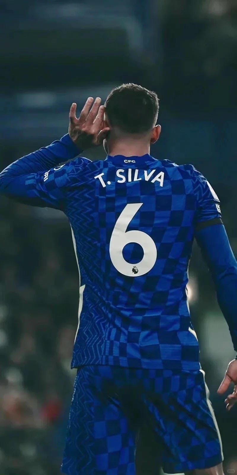 anh-thiago-silva (32)