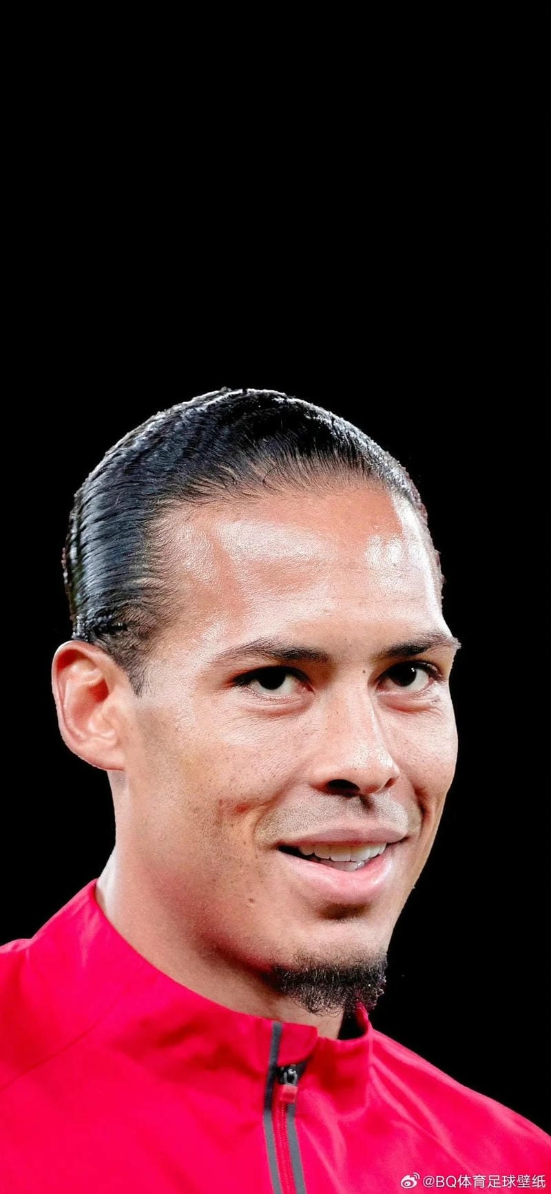 anh-virgil-van-dijk (13)